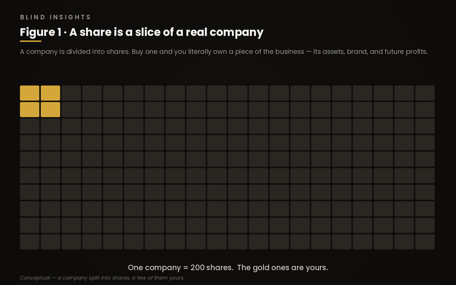 Figure 1 — a company drawn as two hundred squares, four of them gold, showing a shareholding as a slice of the business